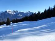 Leichte Piste Mittelsäss