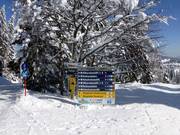 Übersichtliche Wegweiser