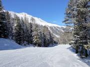 Waldabfahrt Langenstein