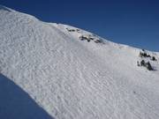 Steile Abfahrten in der Whistler Bowl