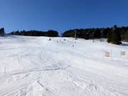 Piste Nr. 32 W5 Prawa