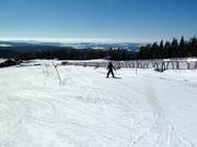 Wellenbahn am Almberg