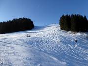 Tiefschneemöglichkeiten neben den Pisten