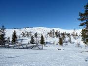 Blick von den Front Slopes zum Gipfel Levi