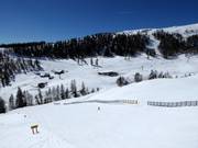 Pisten zwischen Grosseck und Speiereck