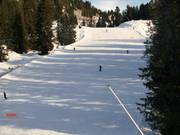 Beschneite Waldabfahrten