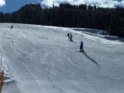 Anfängerpiste am Liebenaulift