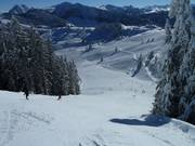 Steile Piste an der Strassalmbahn