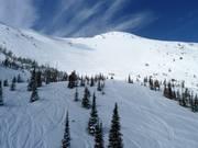 Tiefschneerevier unterhalb des Gravenstafel Mountain