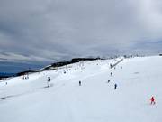 Blick zum Skyline Park