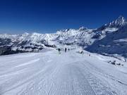 Leichte Piste Schafbichel