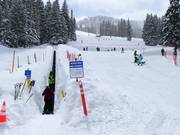 Übungsbereich am Förderband Porcupine