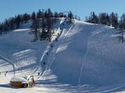 Lärchkogellift - Schlepplift mit T-Bügel/Anker