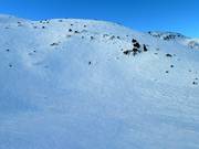 Tiefschneegebiet am Knob Chair