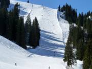 Schwere Piste Nr. 38 Diretissima (Schlagl)