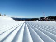 Perfekte Pistenpräparierung in Nesfjellet