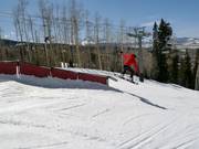 Hoot Brown Terrain Park