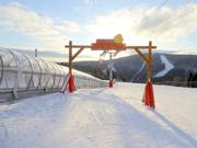 Tipp für die Kleinen  - Reischa Junior Park