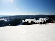 Viel Platz auf der Postwiese