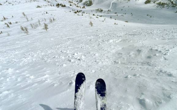 Skigebiete für Könner und Freeriding Clark Range – Könner, Freerider Castle Mountain