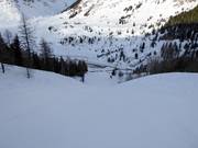 Schwarze S5 Schöneck