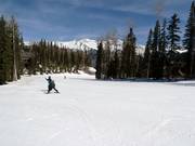 Leichte Abfahrt Bridges