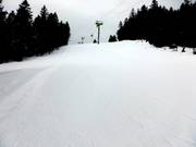 Slalomhang an der Gondelbahn