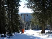 Neklid-VL 500 - Schlepplift mit T-Bügel/Anker