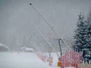 Schneilanzen in San Vito di Cadore