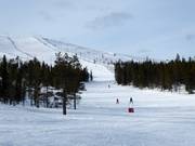 Piste Koulurinne (Nr. 3)