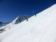 Schwarze Almstüberlabfahrt