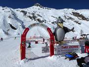 Tipp für die Kleinen  - Kinderland der Skischule Oberschneider