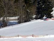 Kinderlift Haldenköpfle - Seillift/Babylift mit niederer Seilführung