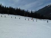 Skikurse an den Talliften Köfele