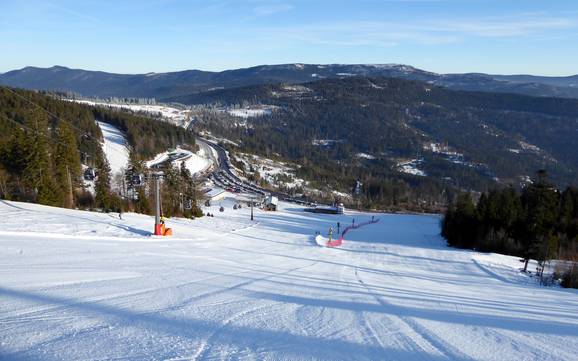 Pistenangebot Zwieseler Winkel – Pistenangebot Arber