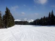 Breite und flache Abfahrt im oberen Teil