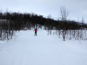 Loipen in Tänndalsvallen