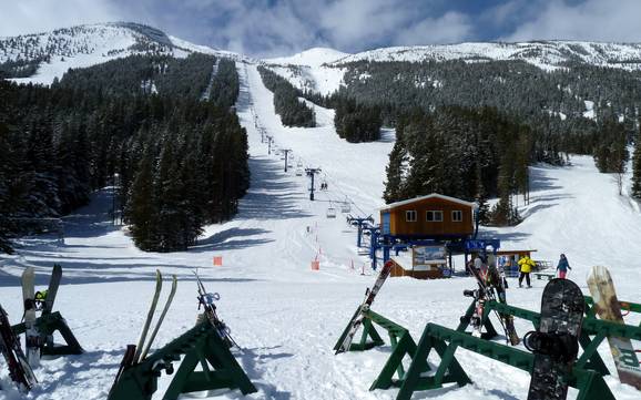 Skifahren in Castle Mountain Resort