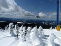 Bilder Big White