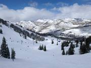 Blick über das Skigebiet Solitude