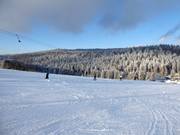 Piste und Skilift in Herzogsreut
