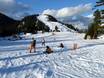 Skigebiete für Anfänger in den Pacific Ranges – Anfänger Grouse Mountain