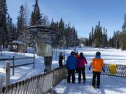 H11 Trolliften - Tellerlift