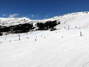 Anfängerbereich Grau Roig