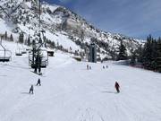 Leichte Pisten an der Sesselbahn Chickadee