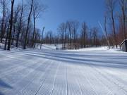 Traumhafte Abfahrten durch kanadische Wälder