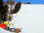 Westhanglift - Schlepplift mit T-Bügel/Anker