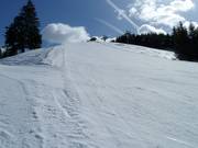 Der schwere Kreuzlesteilhang