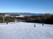 Leichte Piste am Forsthauslift