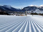 Frisch präparierter Sonnenhang